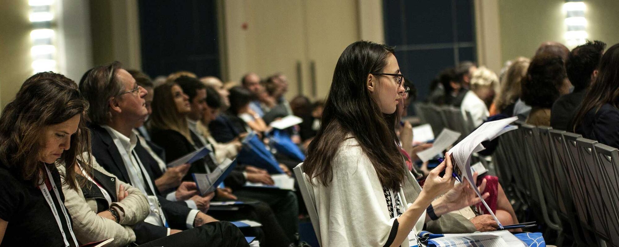 Member in Focus: Shiva Loccisano